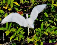 DSC_3310_001.JPG