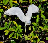 DSC_3311_001.JPG