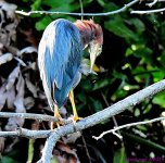 DSC_3345_001.JPG