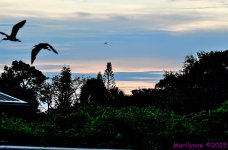 DSC_3367_stitch_001.JPG