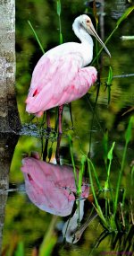 DSC_3471_stitch3_001.JPG