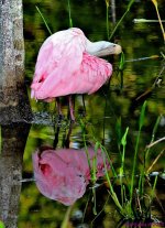 DSC_3482_stitch3_001.JPG