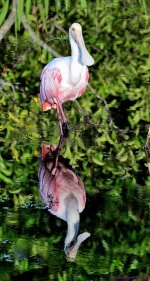 DSC_3522_001.JPG