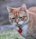 2025-07-26_18-51-20GsT.png