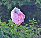 DSC_3650_stitch3_001.JPG