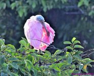 DSC_3653_stitch3_001.JPG