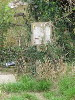 Hydrant-2.jpg