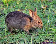 DSC_3747_001.JPG