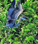 DSC_3757_001.JPG
