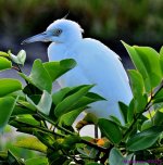DSC_3771_001.JPG