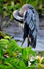 DSC_3787_001.JPG
