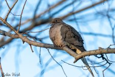 RD5_0095-Edit.jpg