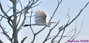 DSC_3966_001.JPG