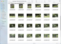 D610 White Balance.png