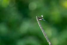 RD5_5521-Edit-2.jpg