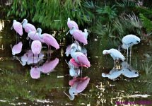 DSC_4201_stitch_001.JPG