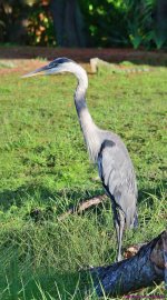 DSC_4393_stitch_001.JPG