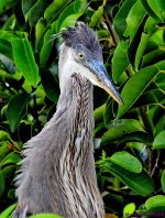 DSC_4567_001.JPG