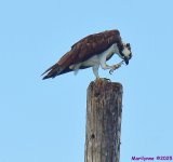 DSC_4578_001.JPG