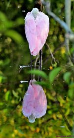 DSC_4662_stitch4_001.JPG