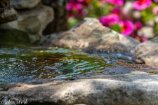 RD5_6310-Edit.jpg