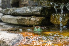 RD5_6318-Edit.jpg