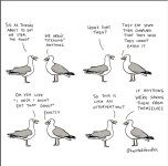 IMG_3953.jpeg