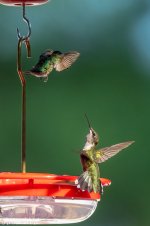 RD5_5972-Edit.jpg