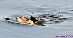 DSC_5028_001.JPG