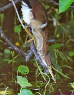 DSC_5046_001.JPG