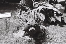 R1-09260-0009 (Medium).JPG