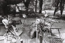 R1-09260-0010 (Medium).JPG