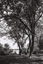 R1-09260-0015 (Medium).JPG