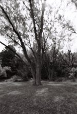 R1-09260-0020 (Medium).JPG