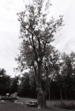 R1-09260-0022 (Medium).JPG