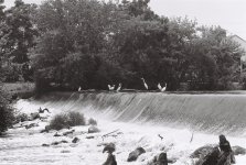 R1-09259-0013 (Medium).JPG