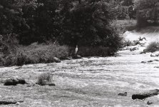R1-09259-0014 (Medium).JPG