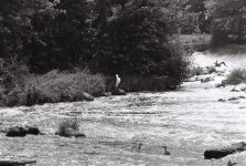 R1-09259-0015 (Medium).JPG