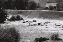 R1-09259-0018 (Medium).JPG