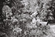 R1-09260-0012 (Medium).JPG