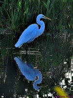 DSC_5130_001.JPG