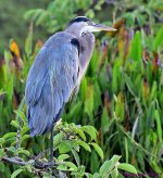 DSC_5144_001.JPG