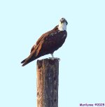 DSC_5190_001.JPG