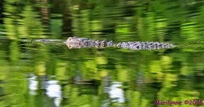 DSC_5194_stitch_001.JPG