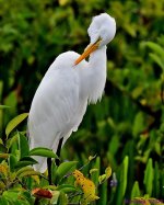 DSC_5531_001.JPG