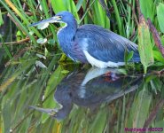 DSC_5615_001.JPG