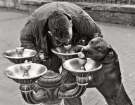IMG_0052.jpeg