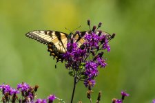 RD5_7681-Edit.jpg