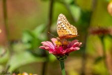RD5_7750-Edit.jpg