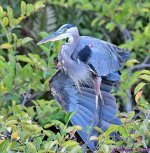 DSC_5859_001.JPG